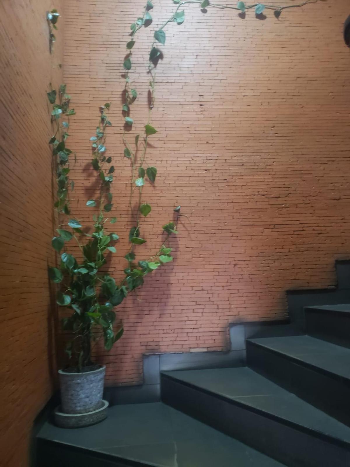 Sole Hotel Антананариву Экстерьер фото